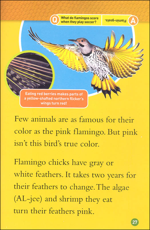 Animals That Change Color (National Geographic Readers Level 2