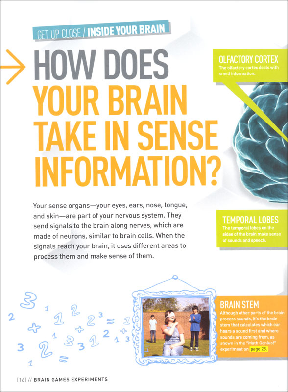 brain-games-experiments-national-geographic-kids-national