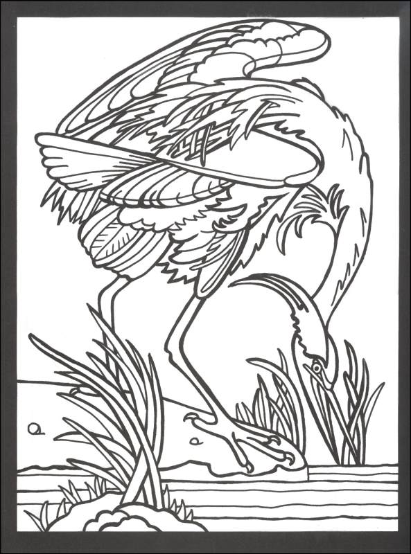 Audubon Birds Large Format Stained Glass Coloring Book | Dover ...