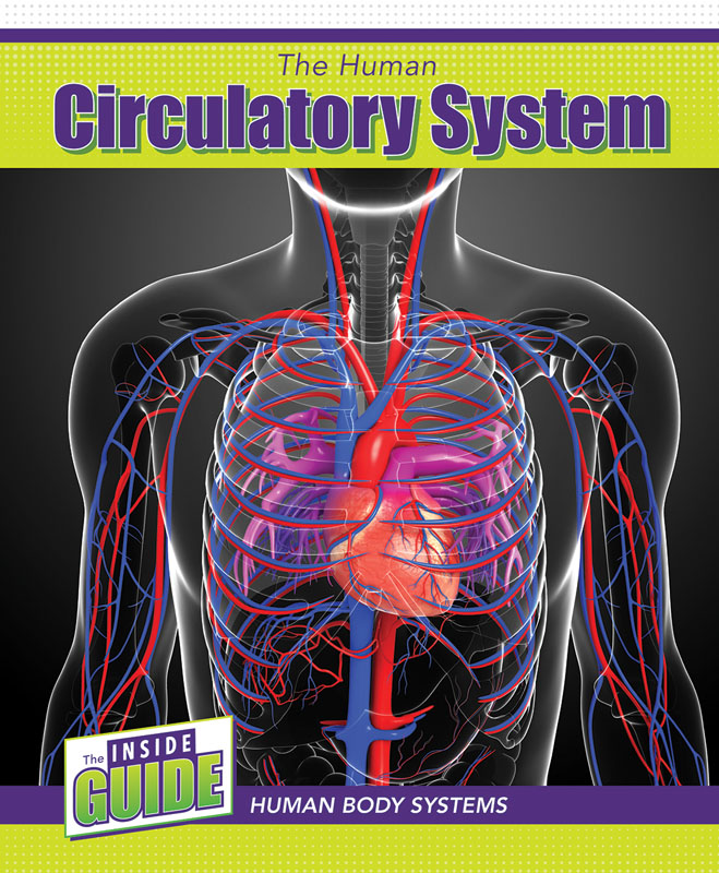 Human Circulatory System (Inside Guide: Human Body Systems)
