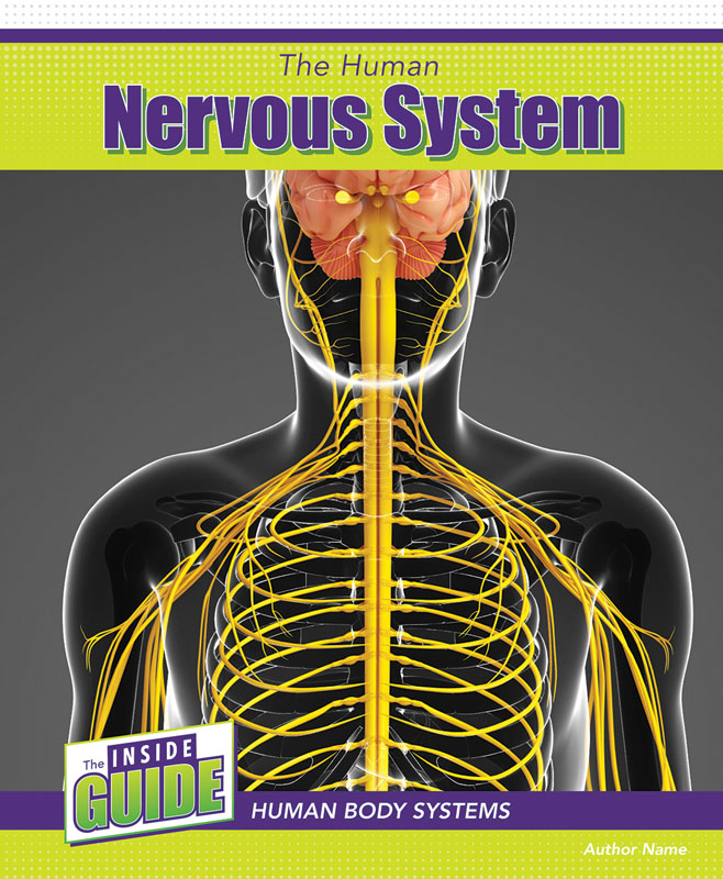Human Nervous System (Inside Guide: Human Body Systems)