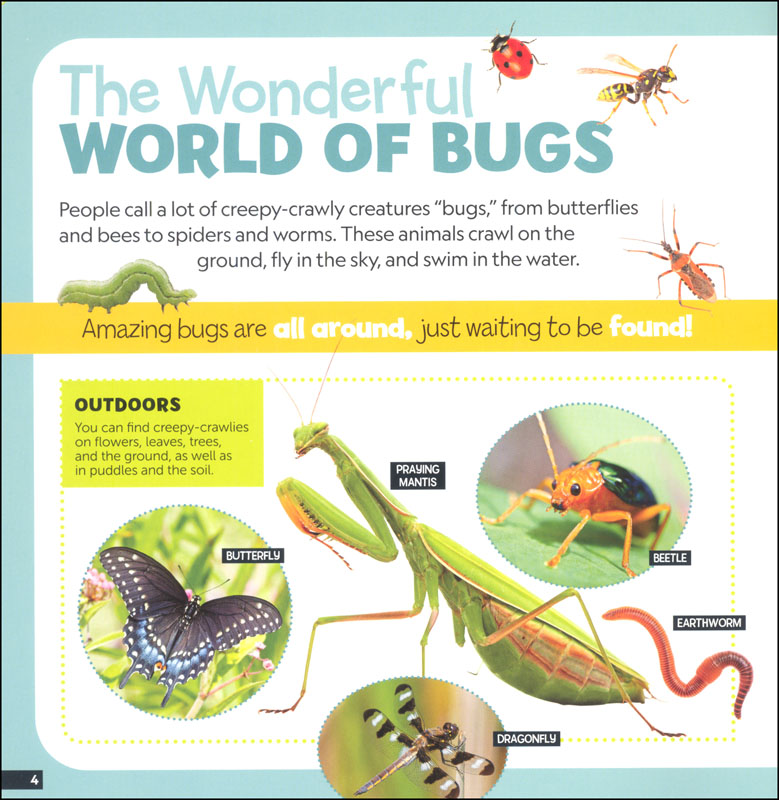 little-kids-first-nature-guide-bugs-national-geographic-national