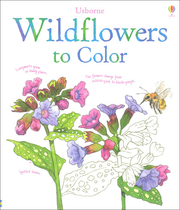 Wildflowers to Color