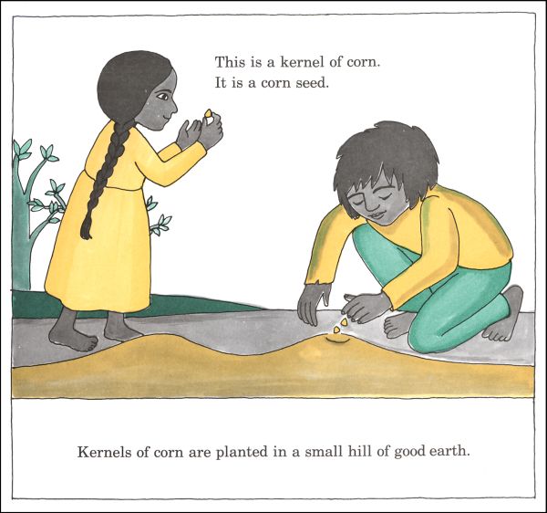 Corn is Maize (Let's Read and Find Out Science Level 2) | HarperCollins