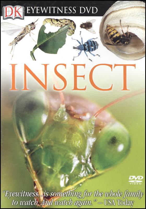 Eyewitness: Insect DVD