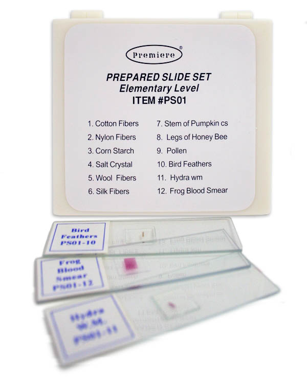 Prepared Slide Set Elementary Level (12 slides) C & A Scientific