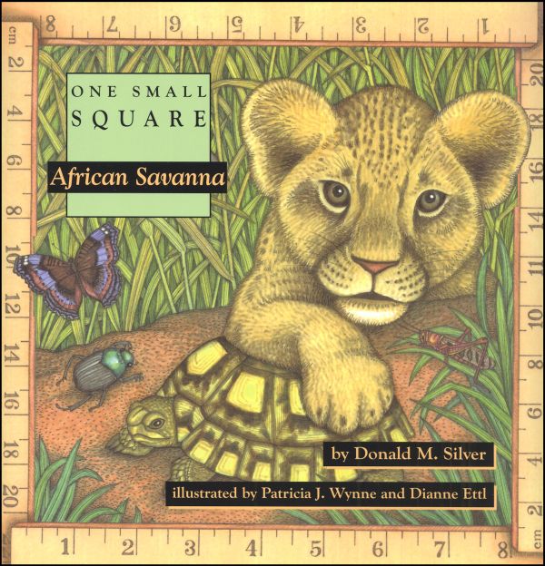 One Small Square: African Savannah
