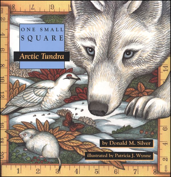 One Small Square: Arctic Tundra