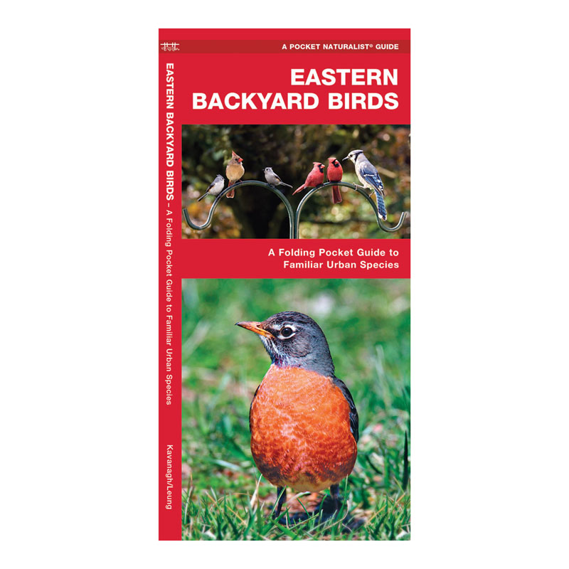 Eastern Backyard Birds Guide