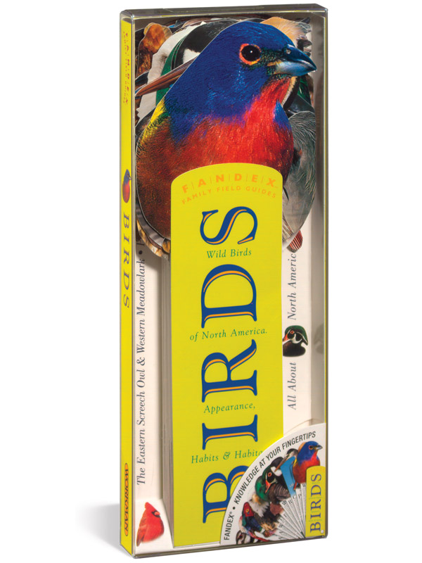 Fandex - Birds