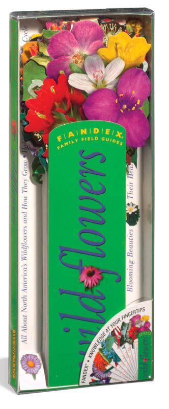 Fandex - Wildflowers