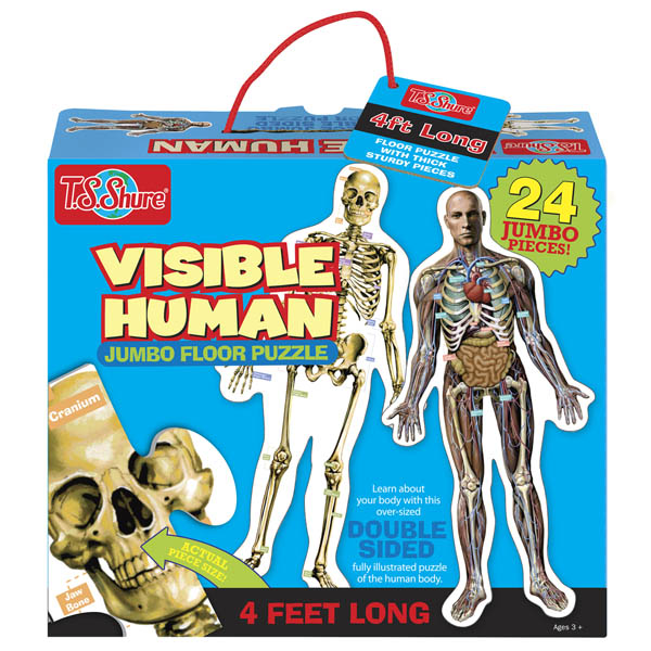 human body floor puzzle