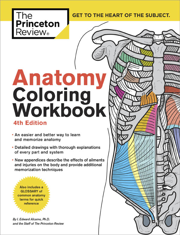 Anatomy Coloring Book (Princeton Review) 4ED