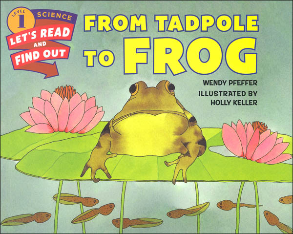 From Tadpole to Frog (LRAFOS Level 1) | HarperCollins Childrens ...