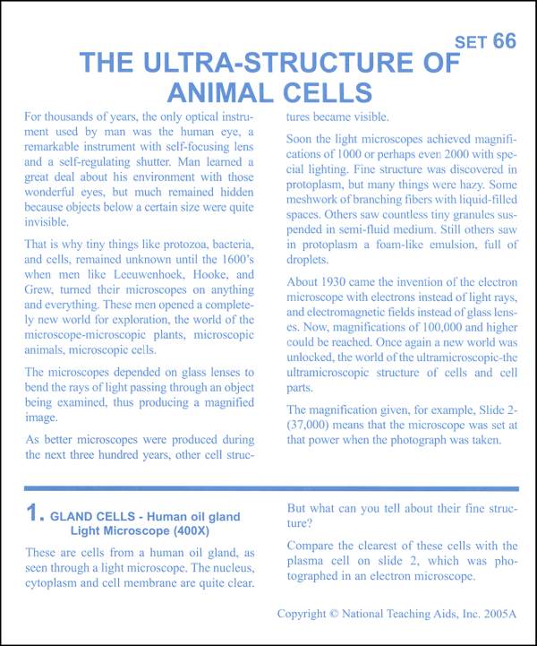 Ultrastructure of Animal Cells Microslide Set