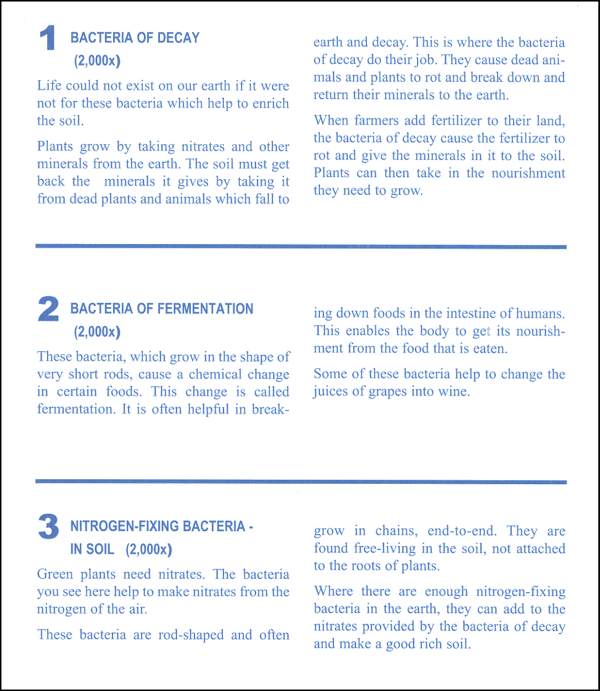 Helpful Bacteria Microslide Lesson Set Scott Resources