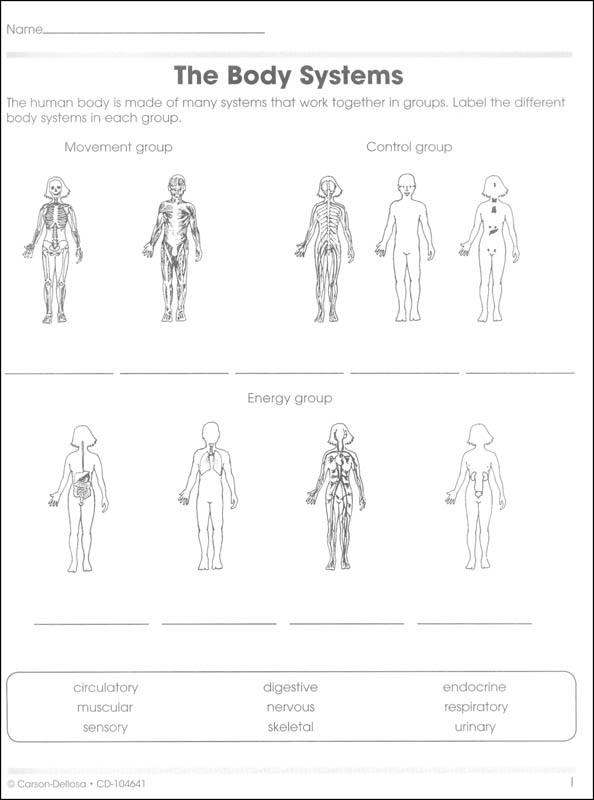 Human Body (100+ Series) | Carson-Dellosa | 9781483816890