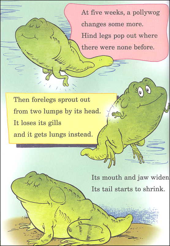 Would You Rather be a Pollywog? | Random House Children's Books ...