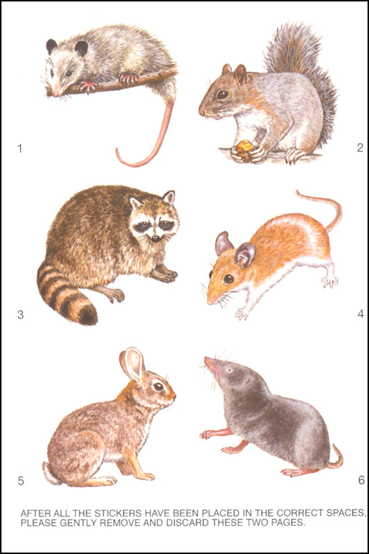 Learning About Backyard Animals | Dover Publications | 9780486405346