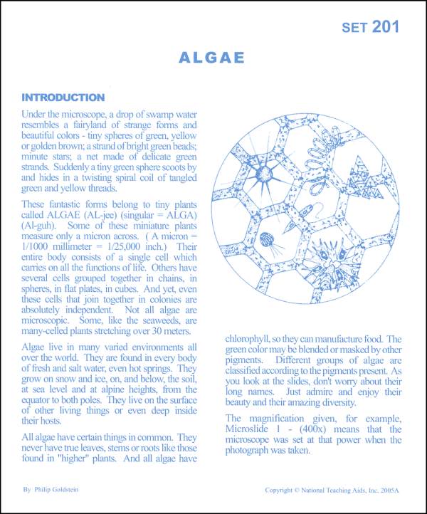Algae Microslide Lesson Set