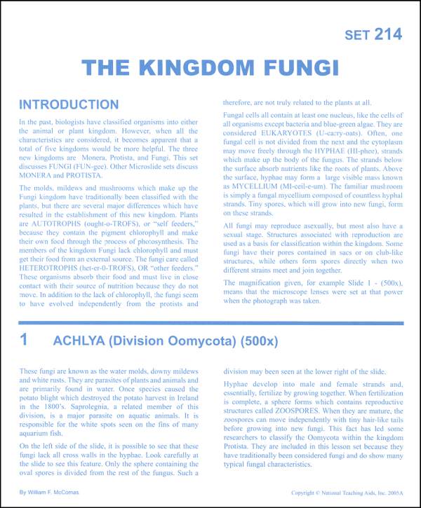 Kingdom Fungi Microslide Lesson Set