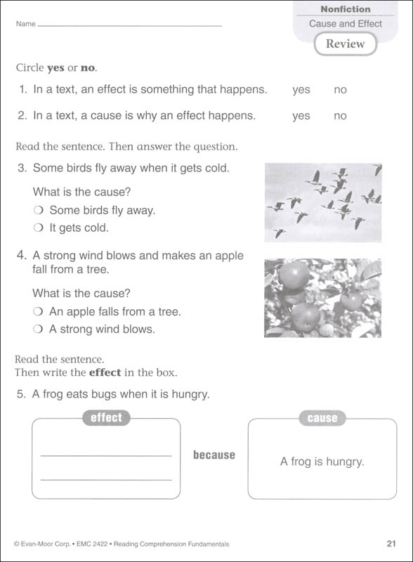 reading comprehension fundamentals grade 2 evan moor 9781629384610