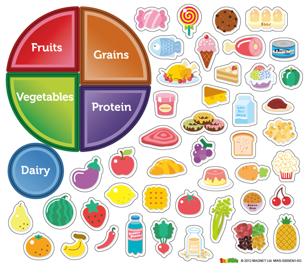 Nutrition Magnetic Wall Sticker | American Educational Products
