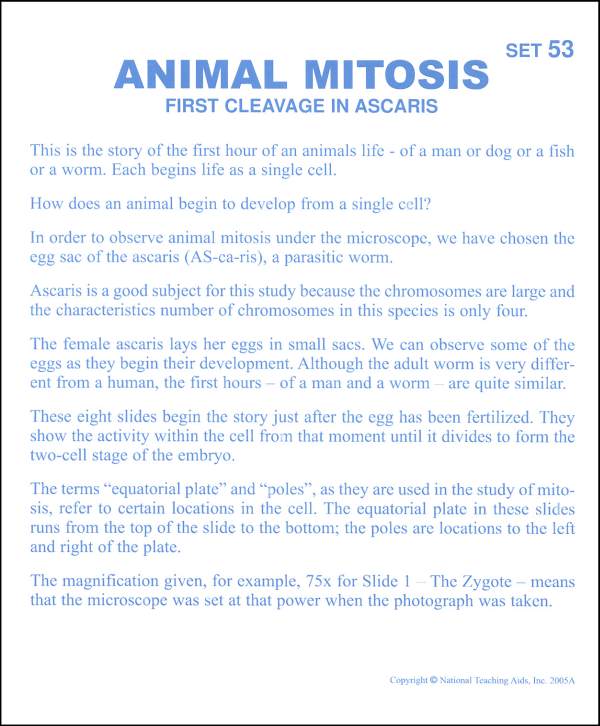 Animal Mitosis Microslide Lesson Set