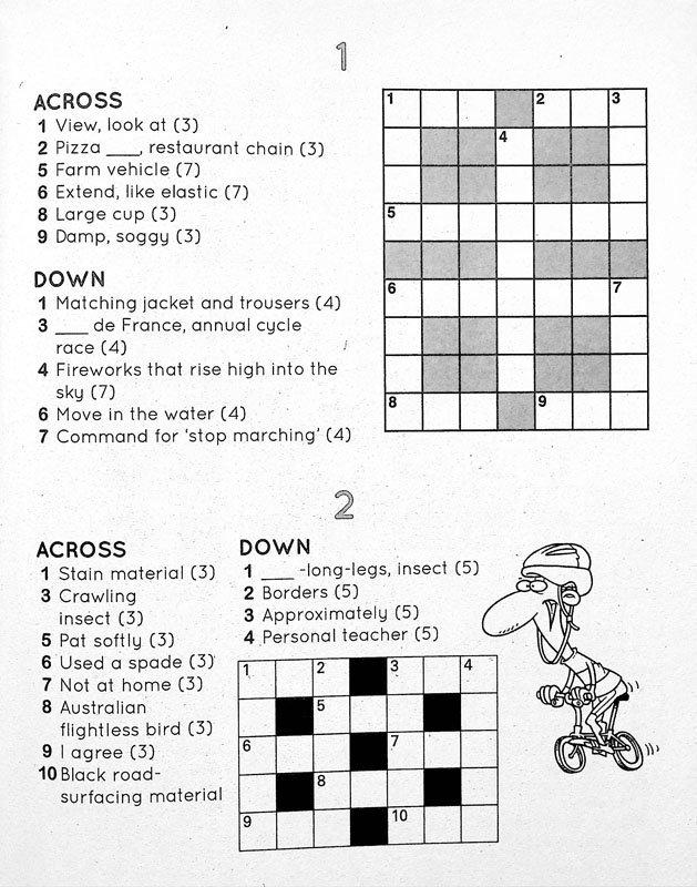 Big Book of Crosswords 2 (Go Fun ) Andrews McNeel 9781449464868