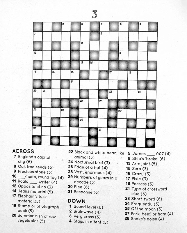 Big Book of Crosswords 2 (Go Fun ) Andrews McNeel 9781449464868