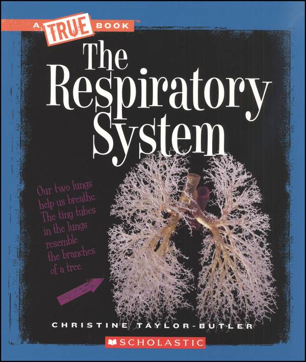 Respiratory System (True Book)