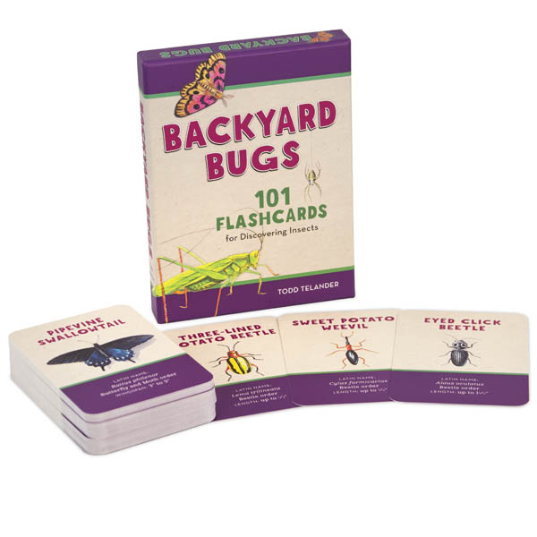 Backyard Bugs Flashcards Globe Pequot Press 9781493025848