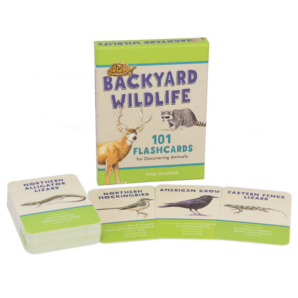Backyard Wildlife Flashcards