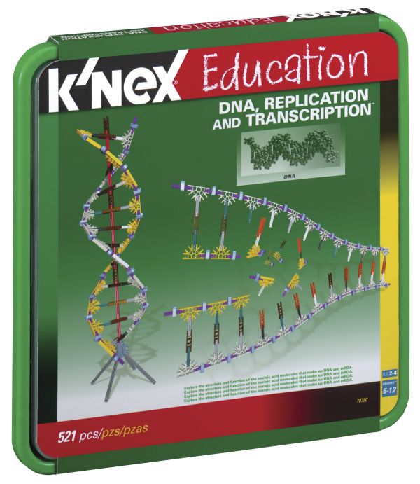 DNA, Replication & Transcription Set (521 Pieces)