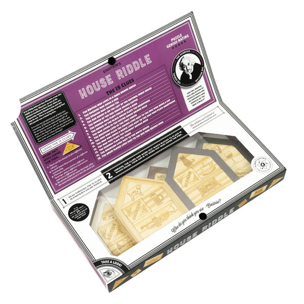 Einstein's House Riddle Professor Puzzle