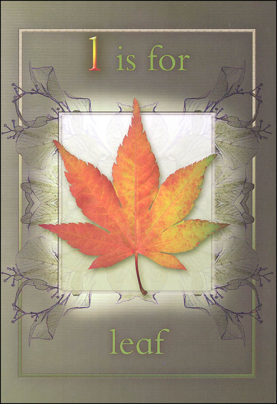 ABC Nature Activity Flashcards Fine Feather Press 9781908489036