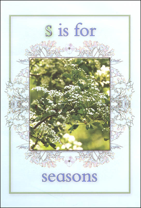 ABC Nature Activity Flashcards Fine Feather Press 9781908489036