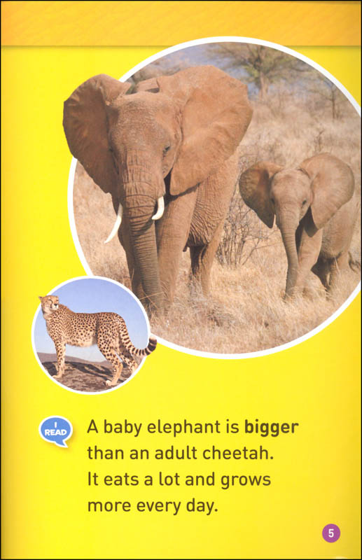 Elephants (National Geographic Readers) | National Geographic Kids