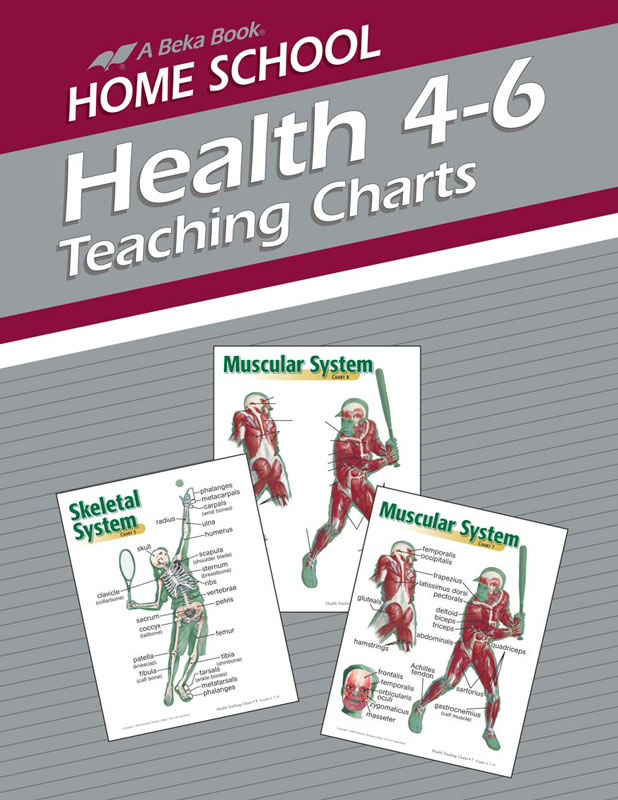 Health 4-6 Homeschool Teaching Charts
