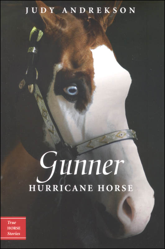 Gunner Hurricane Horse (True Horse Stories) Tundra 9780887769054
