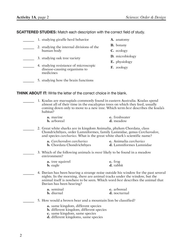 Science: Order And Design Activity Book With STEM Project Resources | A ...