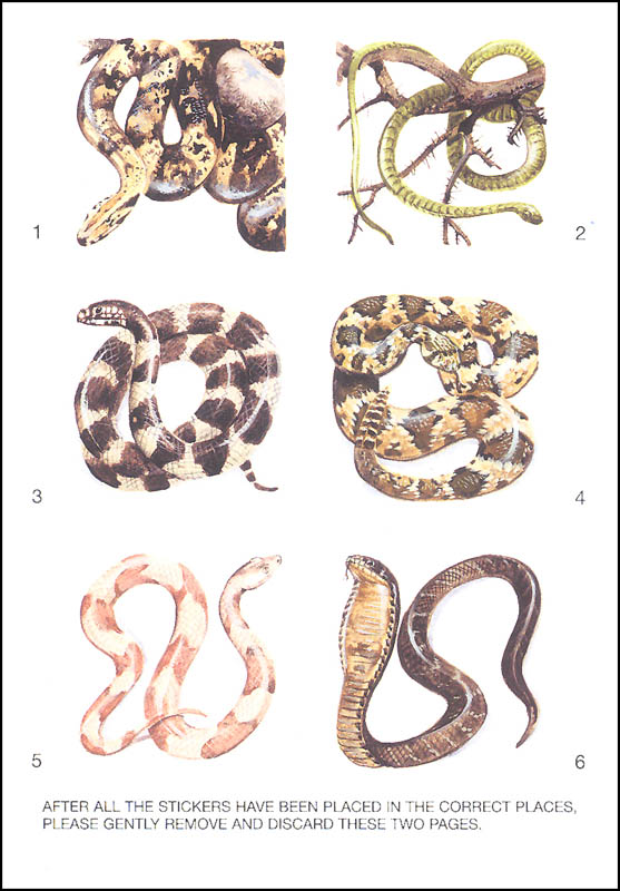 Learning About Snakes | Dover Publications | 9780486403359