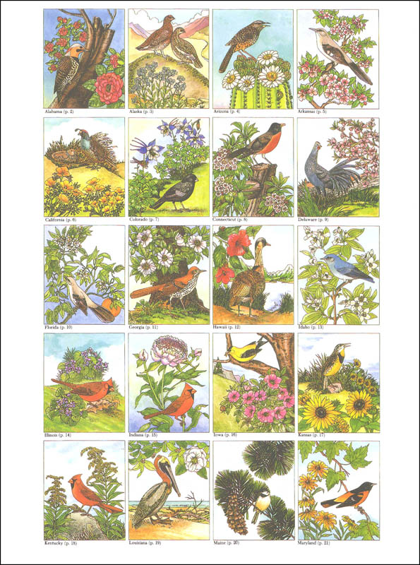 Download State Birds & Flowers Coloring Book | Dover Publications ...