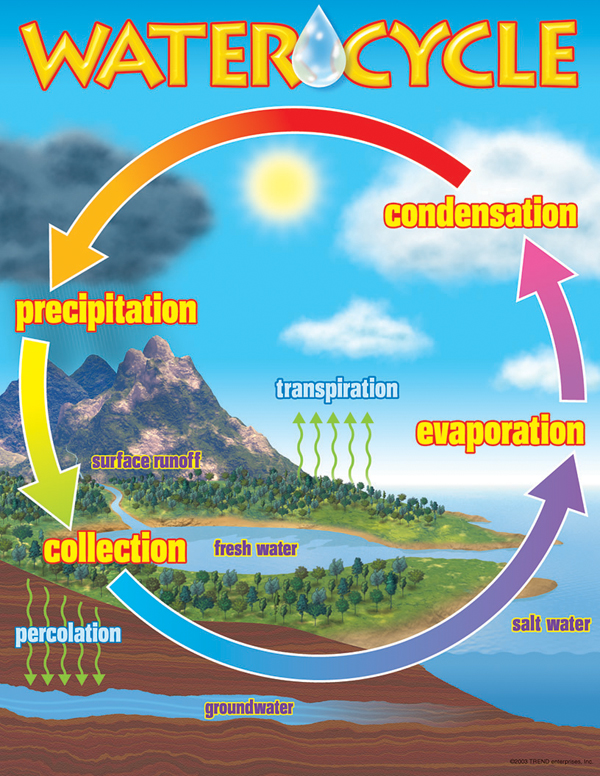 Water Cycle Learning Chart Trend Enterprises