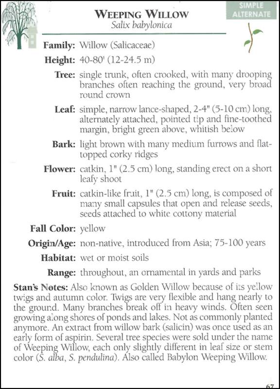 Trees of Missouri Field Guide Adventure Publications 9781591931560