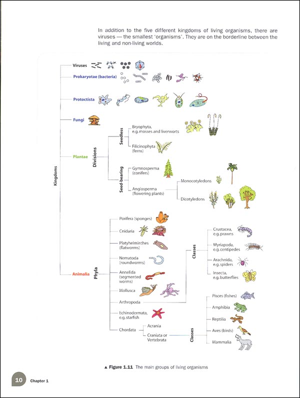 Biology Matters Textbook | Marshall Cavendish | 9789810117238