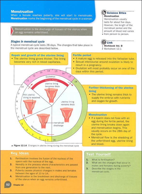 Lower Secondary Science Matters Textbook Vol. B | Marshall Cavendish ...