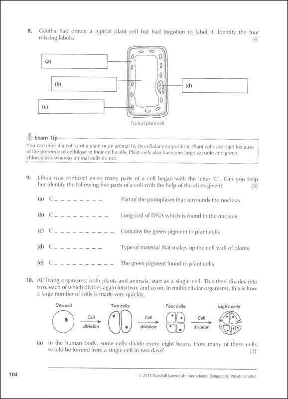 Lower Secondary Science Structured Questions Vol. A | Marshall ...