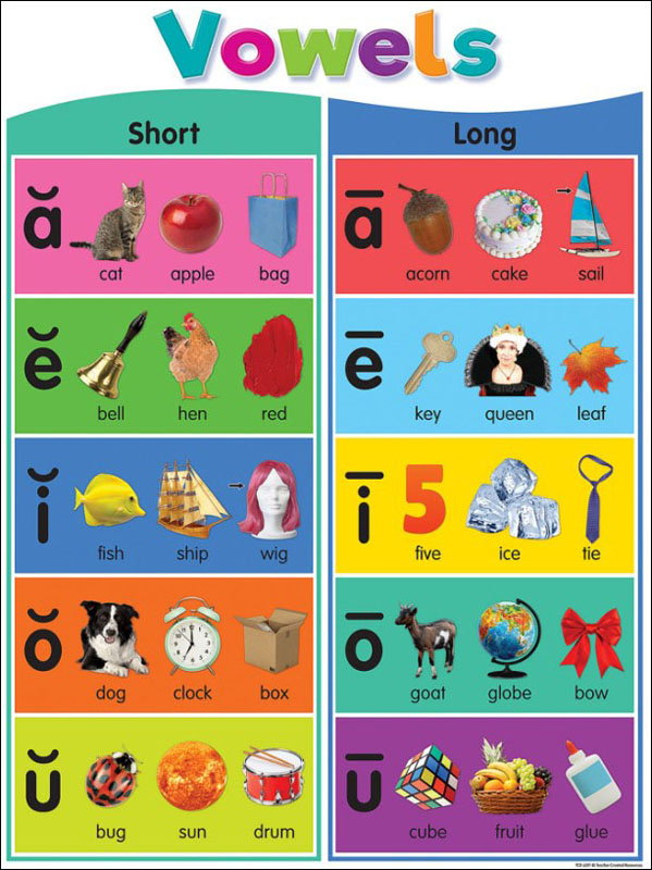 Colorful Phonics Bulletin Board | Teacher Created Resources