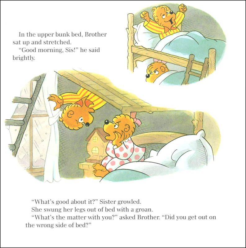 Berenstain Bears That S So Rude Harpercollins 9780062654694